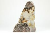 Dendrites On Limestone - Utah #207804-1